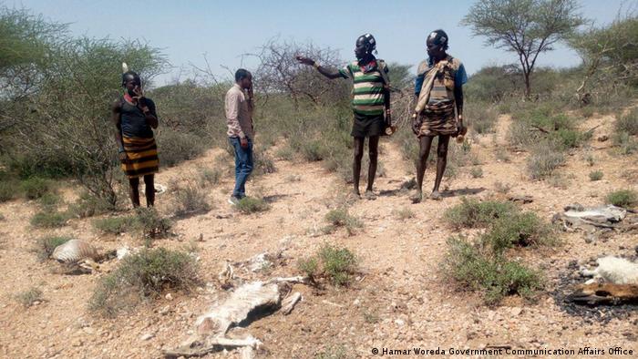 Äthiopien | Folgen von Dürre - Totes Vieh